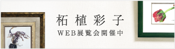 WEB展覧会開催中